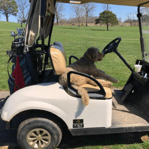 Image accompanying April’s Top Golf Posts: Women Who Golf Archive