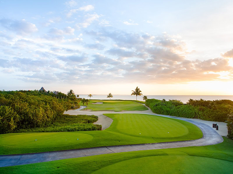 Image accompanying EL CAMALEON MAYAKOBA
