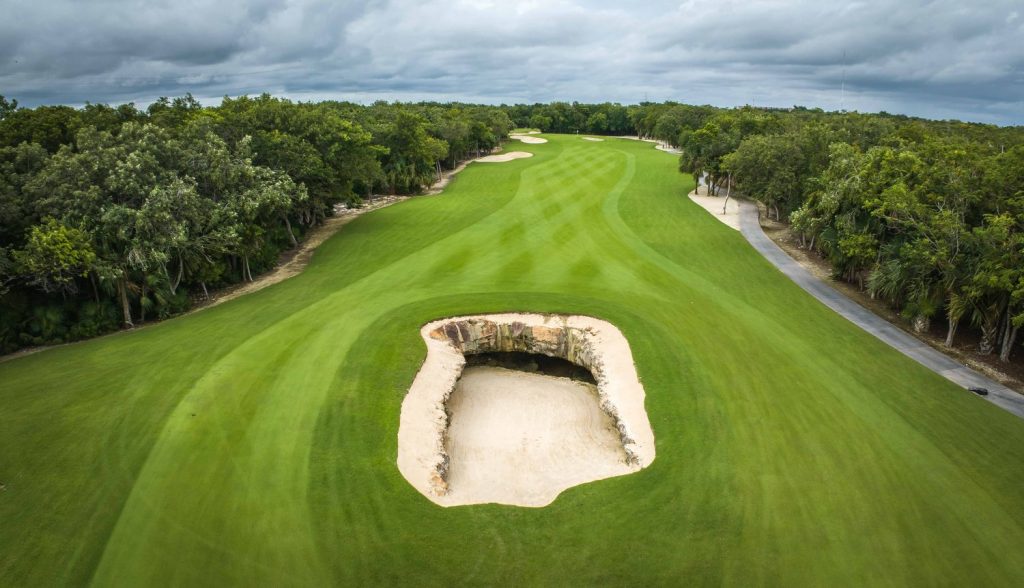 Image accompanying EL CAMALEON MAYAKOBA