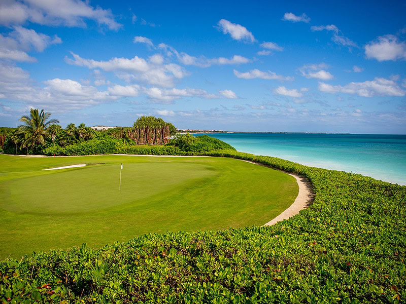 Image accompanying EL CAMALEON MAYAKOBA