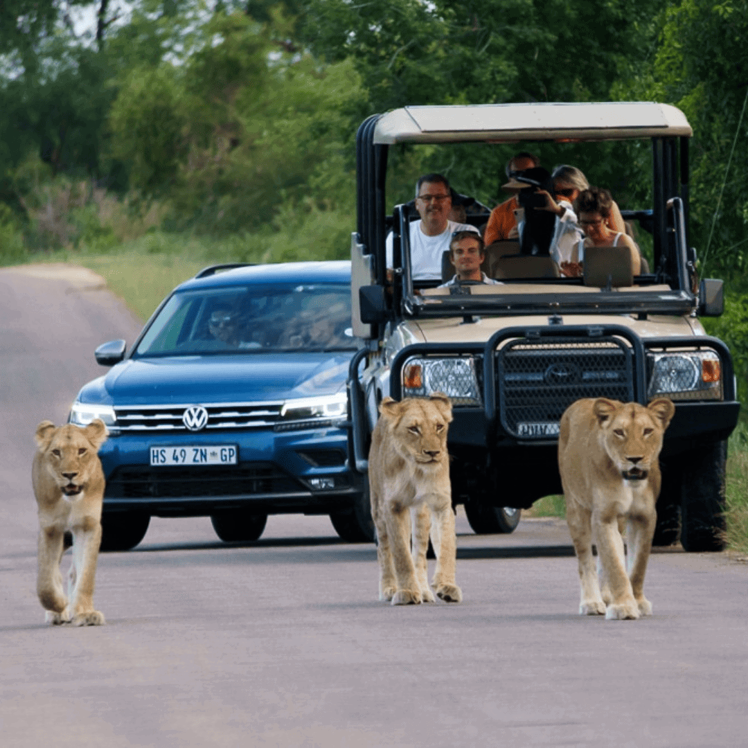 Image accompanying Unlocking the World of Golf Adventures: Meet Our September Sponsor!