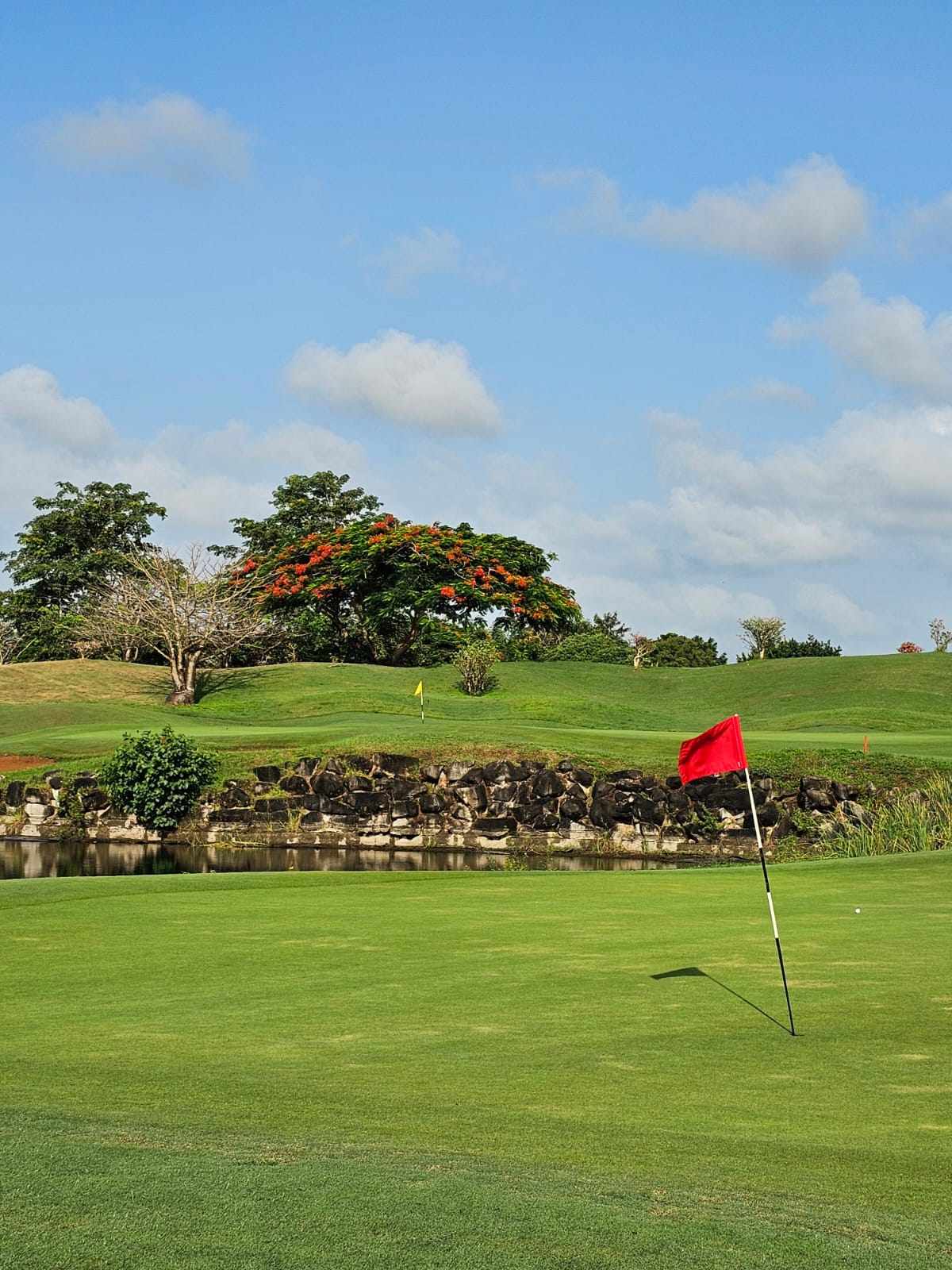 Image accompanying Sponsor Spotlight: Chatting with Far about Golf & Safari!