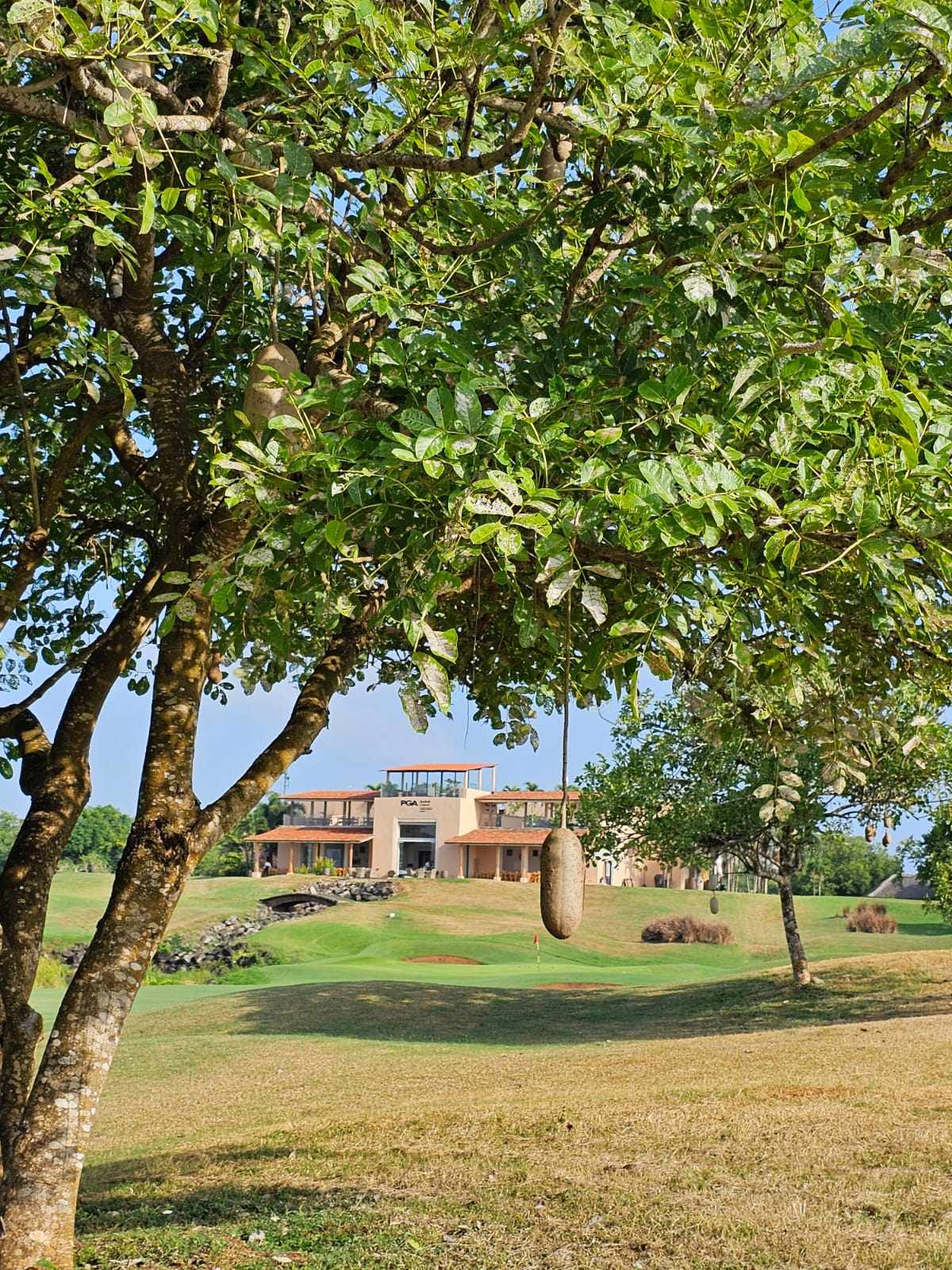 Image accompanying Sponsor Spotlight: Chatting with Far about Golf & Safari!