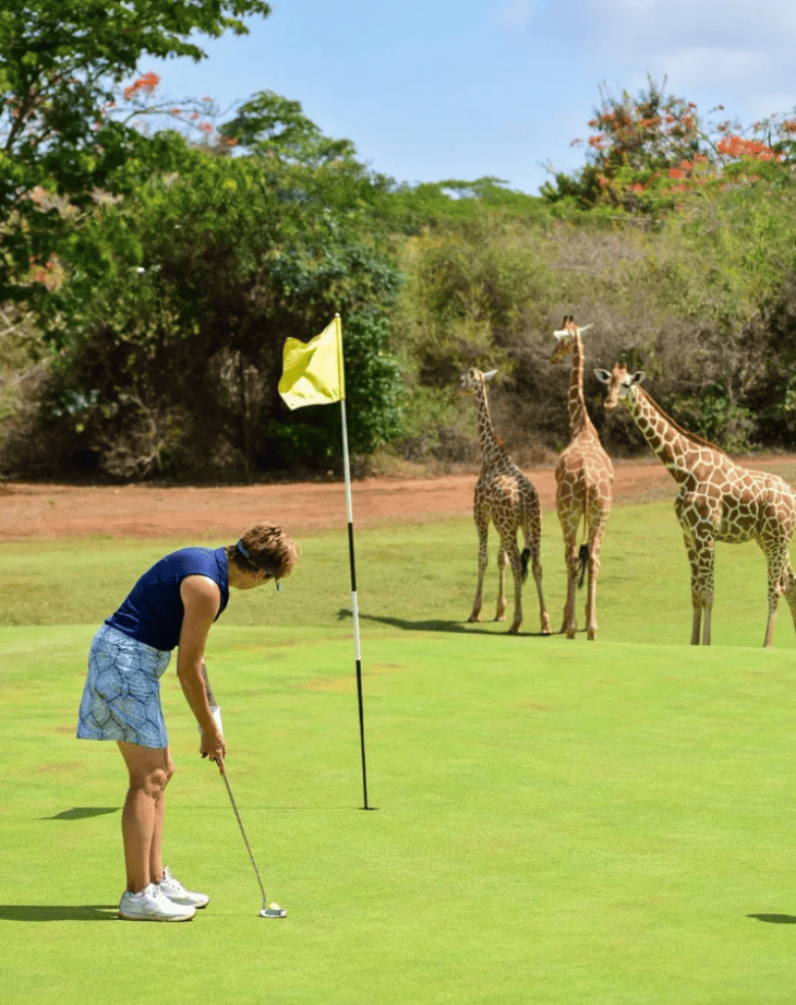 Image accompanying Sponsor Spotlight: Chatting with Far about Golf & Safari!