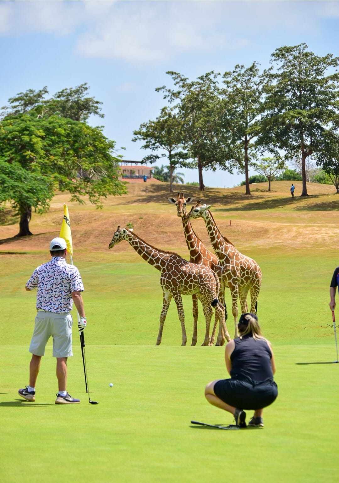 Image accompanying Sponsor Spotlight: Chatting with Far about Golf & Safari!