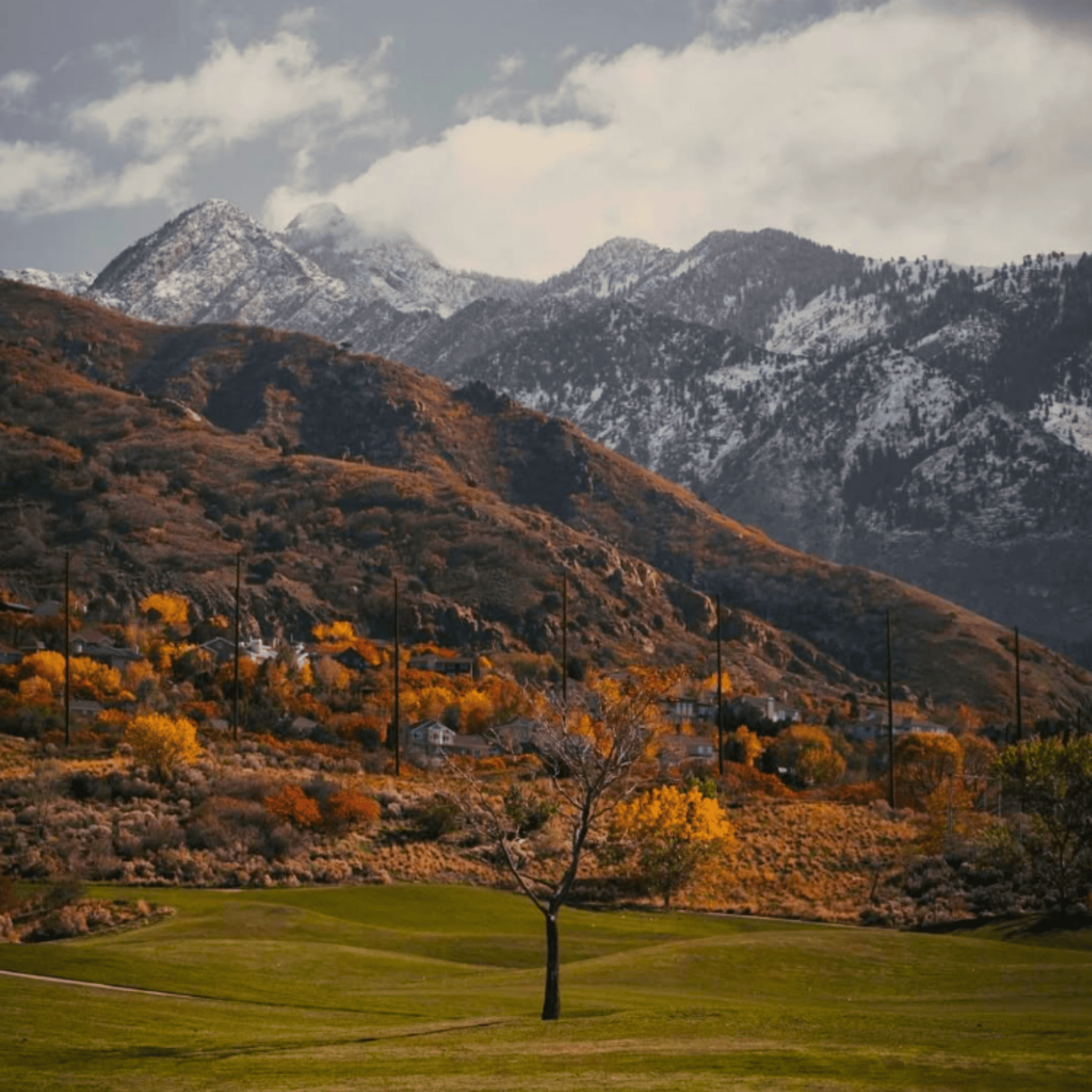 Image accompanying 🍂 Day 2 – Old Mill Golf Course