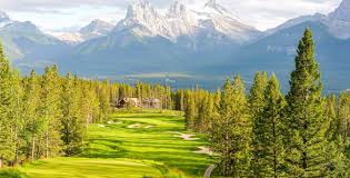 Image accompanying ⛳ The Golf Experience