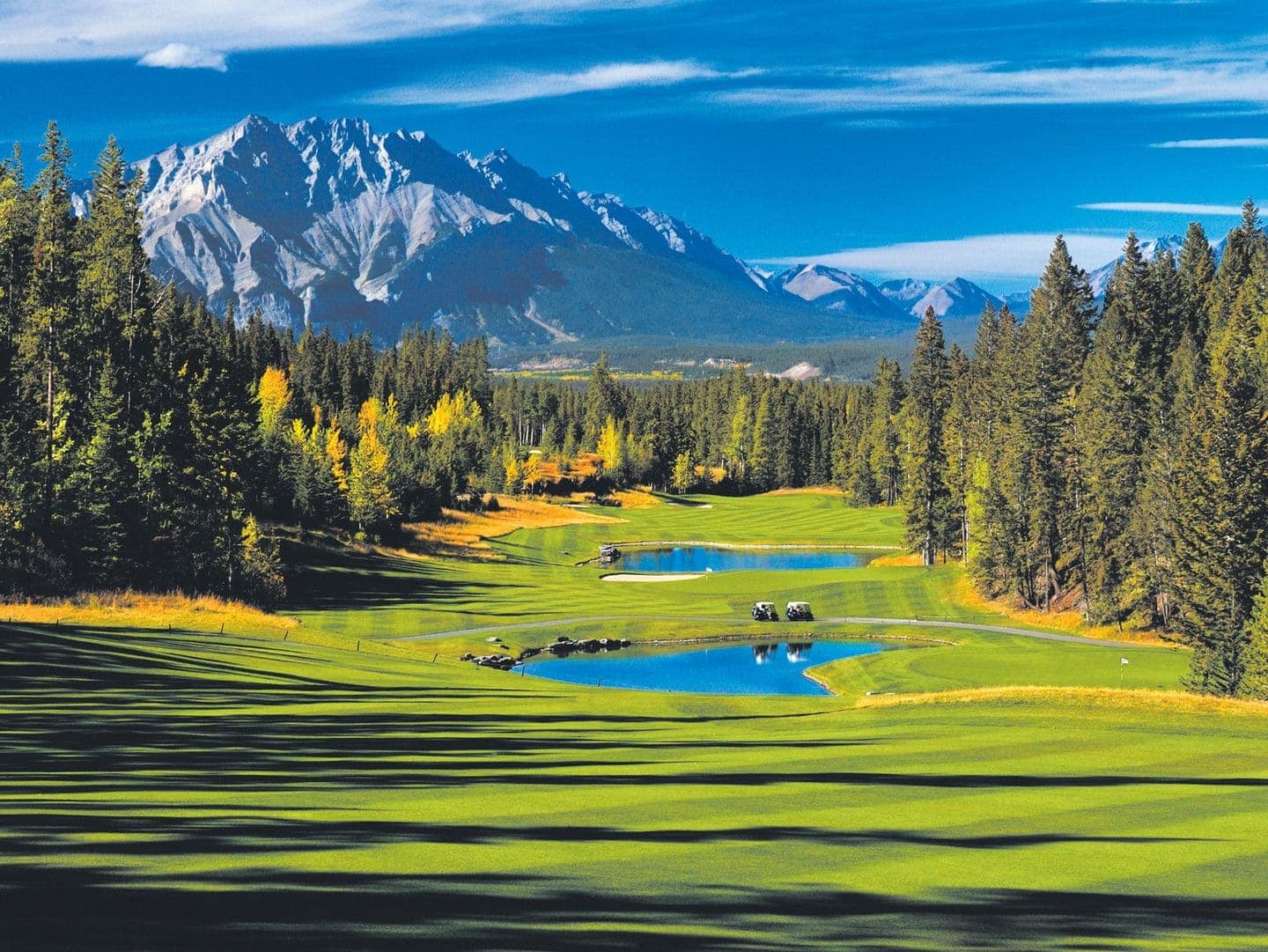 Image accompanying ⛳ The Golf Experience